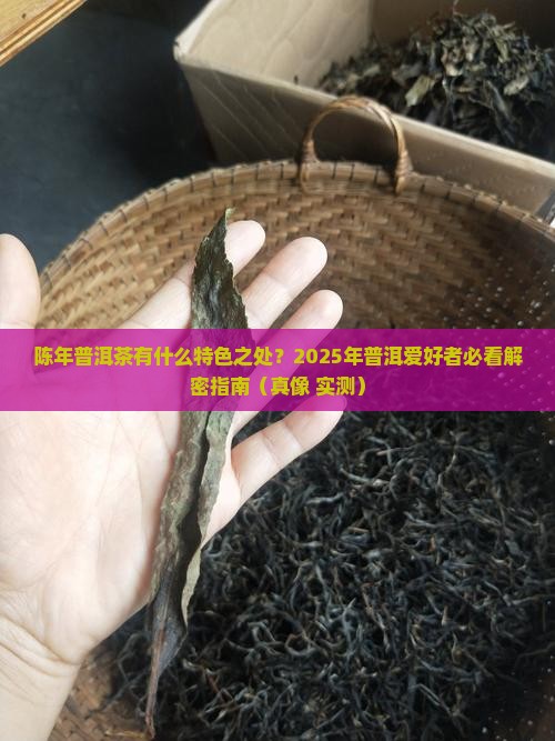 陈年普洱茶有什么特色之处