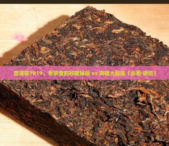 普洱茶7819