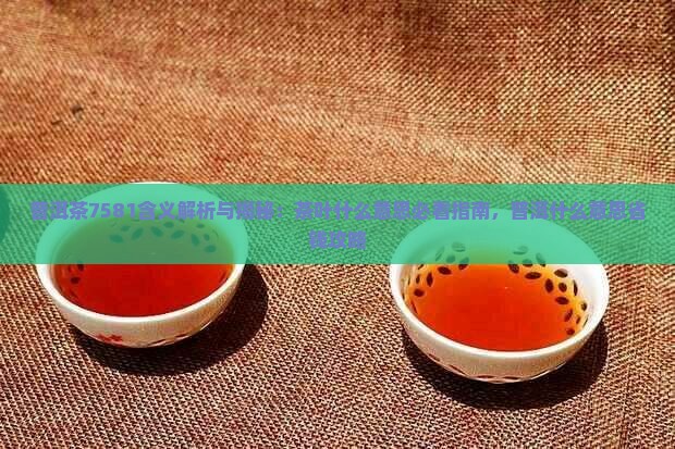 7581普洱茶的含义