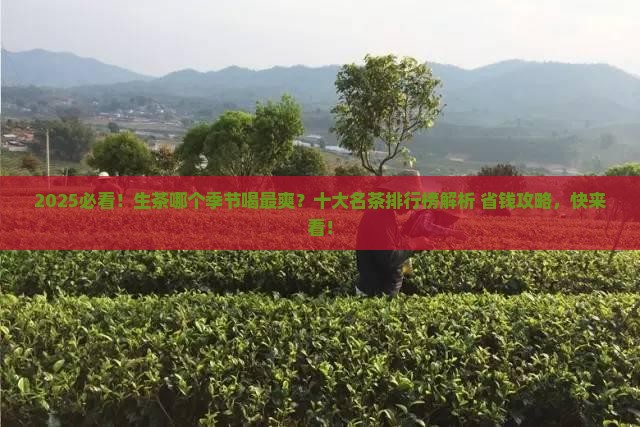 生茶什么季节喝好十大名茶排行榜