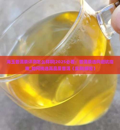 海玉普洱茶评测怎么样啊