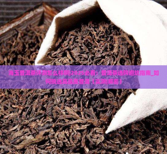 海玉普洱茶评测怎么样啊