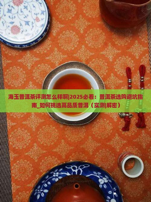 海玉普洱茶评测怎么样啊