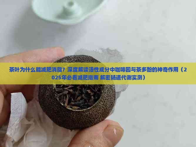 茶叶为什么能减肥消脂