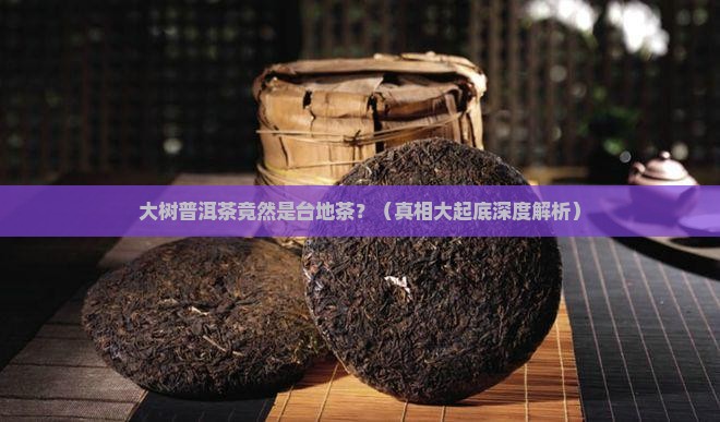 大树普洱茶是台地茶吗