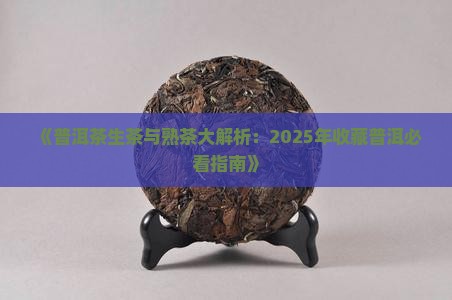 普洱茶生普和熟普哪个值得购买藏