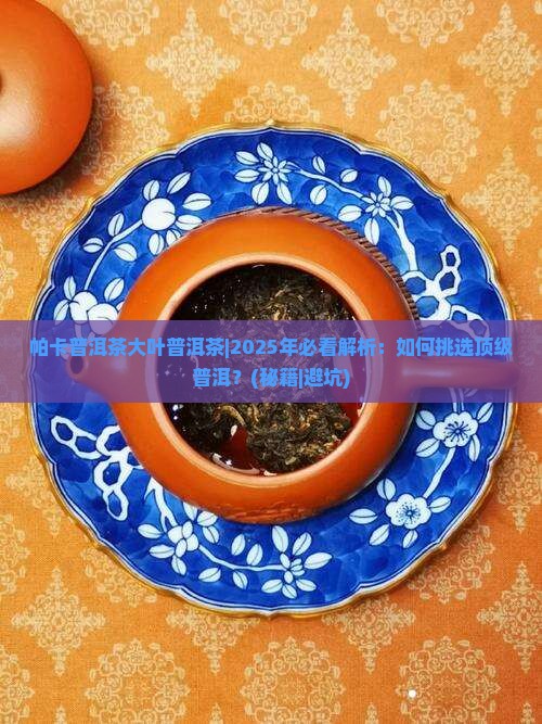 帕卡普洱茶大叶普洱茶