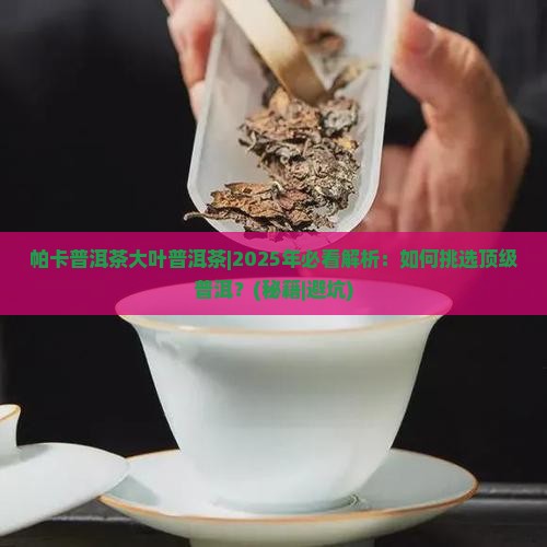 帕卡普洱茶大叶普洱茶