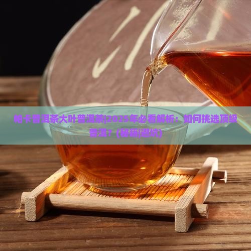 帕卡普洱茶大叶普洱茶