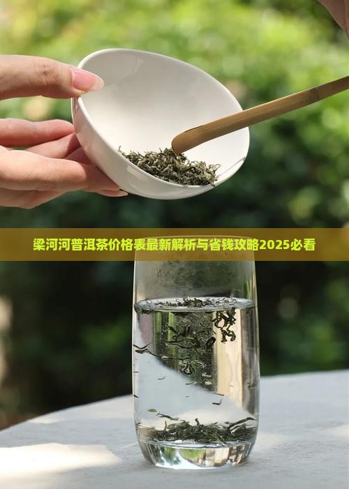 梁河河普洱茶价格表