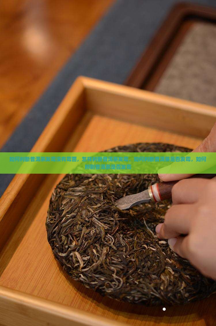 如何判断普洱茶发霉没有