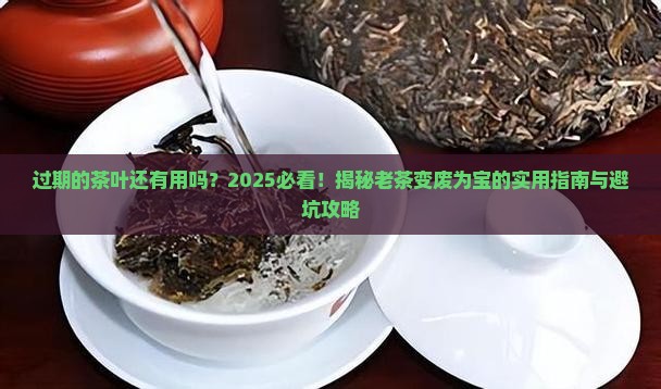 过期的茶叶还有用吗