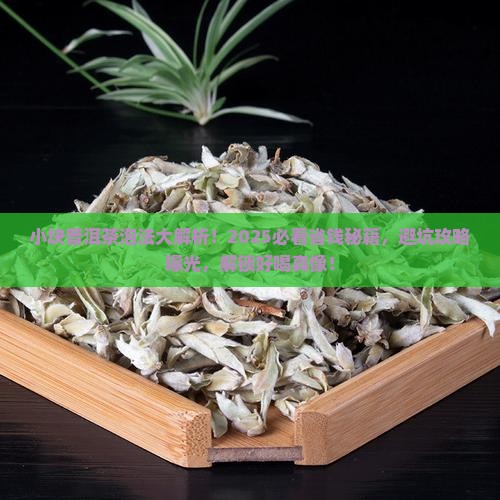 小块的普洱茶怎么泡好喝