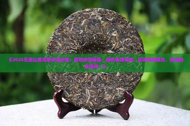 无量山普洱茶冲泡