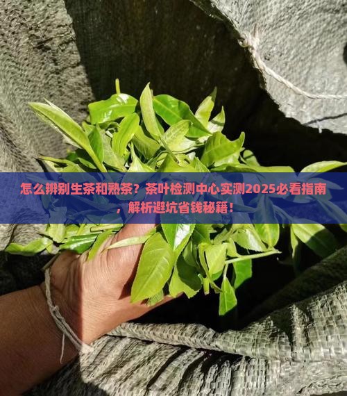 怎么辨别生茶和熟茶茶叶检测中心