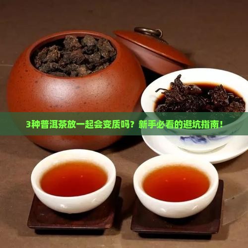 不同品牌的普洱茶能放一起吗