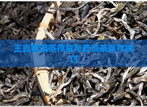 王霞普洱茶存放