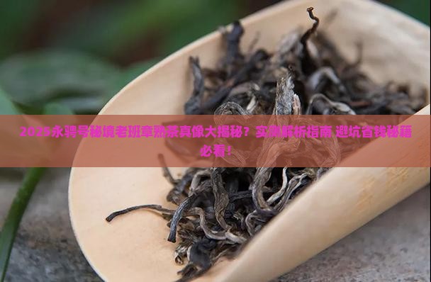 永骋号秘境老班章普洱熟茶