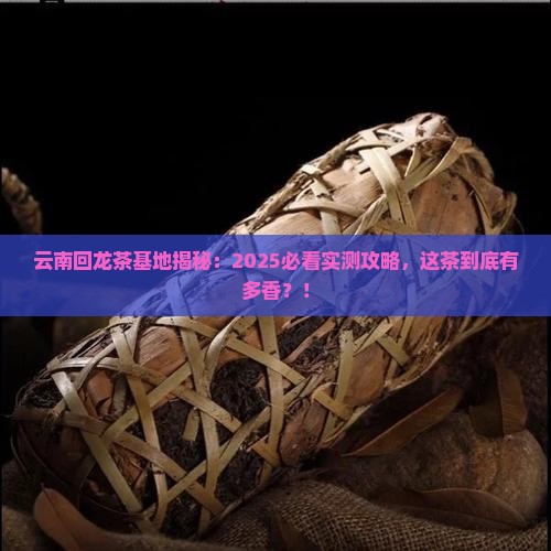 云南回龙茶基地