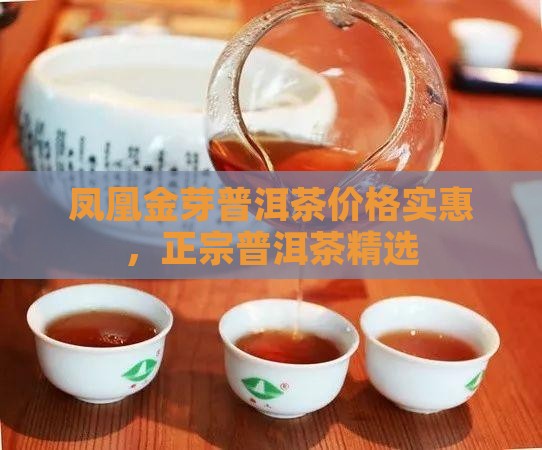 凤凰金芽普洱茶