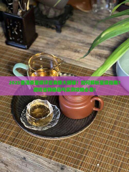 普洱茶的星级如何评定好坏