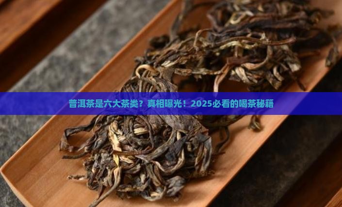 普洱茶是六大茶类