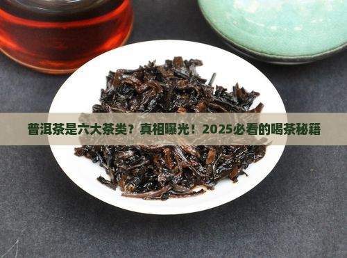 普洱茶是六大茶类
