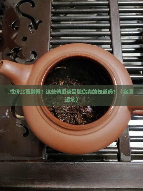 性价比好的普洱茶品牌推荐