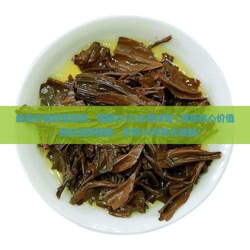 最有价值的普洱茶