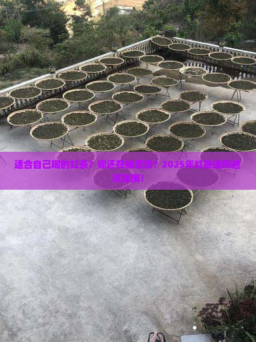适合自己喝的红茶