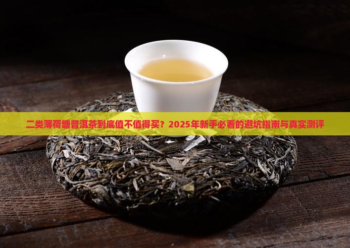 二类薄荷塘普洱茶级别