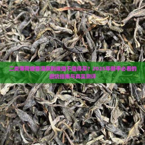 二类薄荷塘普洱茶级别