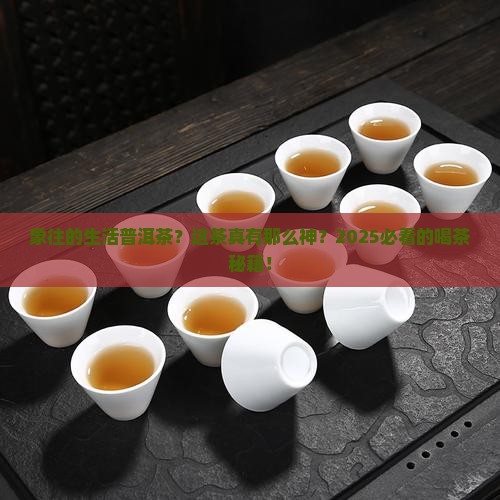 象往的生活普洱茶