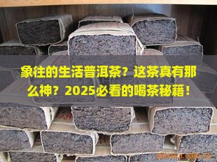 象往的生活普洱茶
