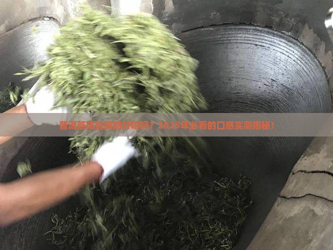 普洱茶陈香味口感好吗怎么样