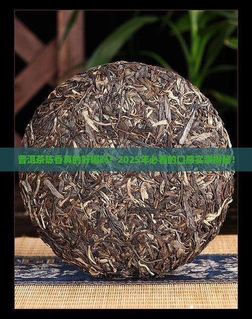 普洱茶陈香味口感好吗怎么样