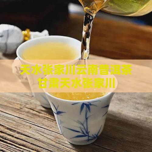 天水张家川云南普洱茶
