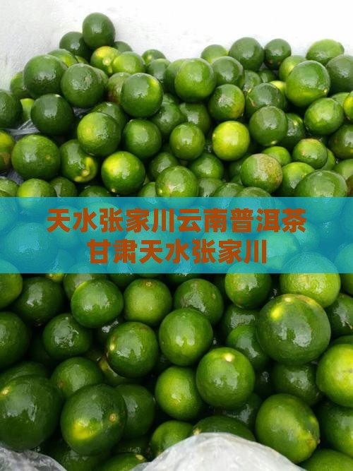 天水张家川云南普洱茶
