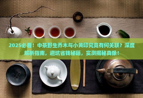 中茶野生乔木是小黄印嘛