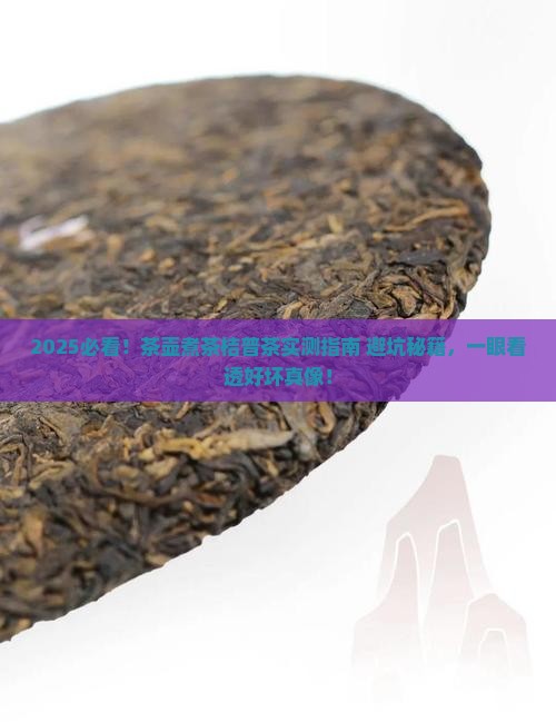 怎样用茶壶煮茶桔普茶怎么看好坏
