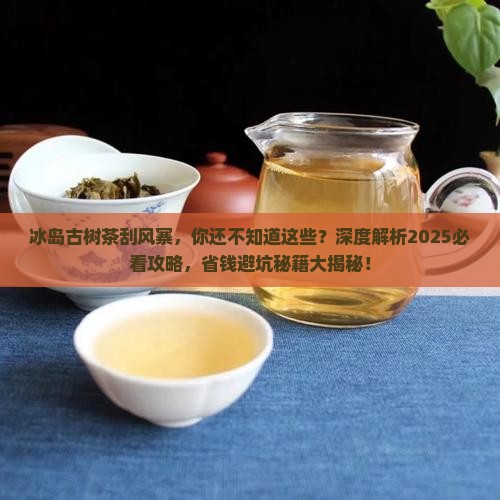 冰岛古树茶刮风寨