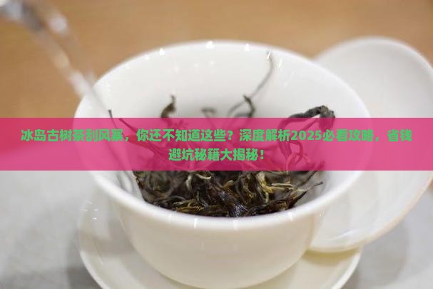 冰岛古树茶刮风寨