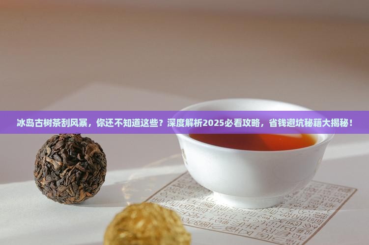 冰岛古树茶刮风寨