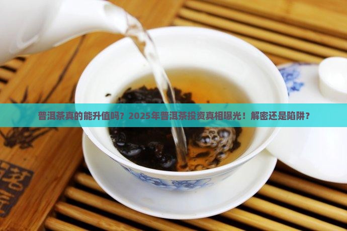 普洱茶真的能升值吗