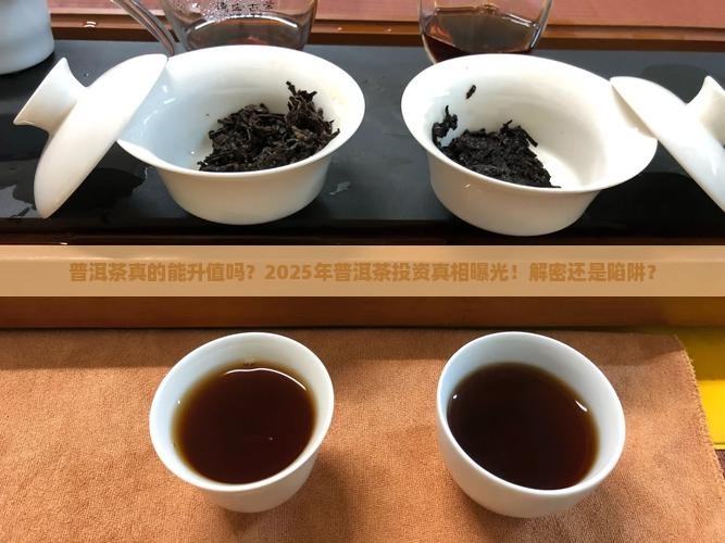 普洱茶真的能升值吗