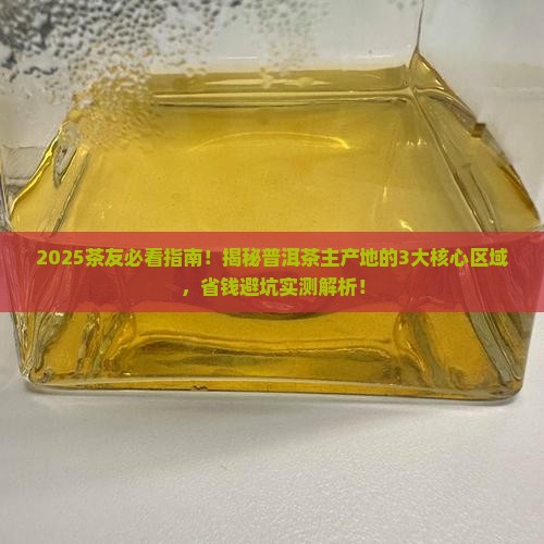 普洱茶主产哪里
