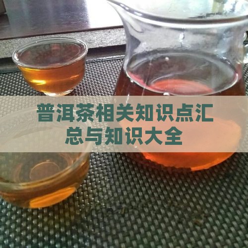 普洱茶相关汉语知识点汇总