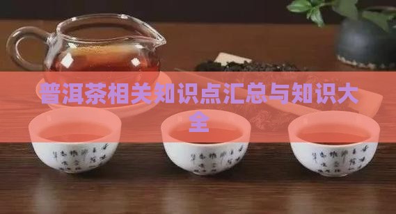 普洱茶相关汉语知识点汇总