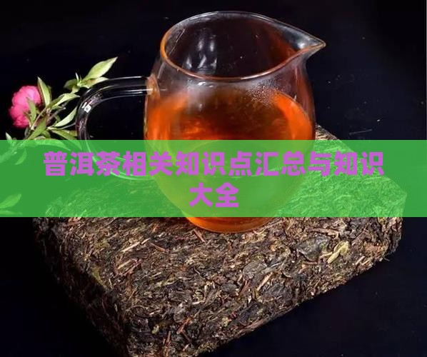 普洱茶相关汉语知识点汇总