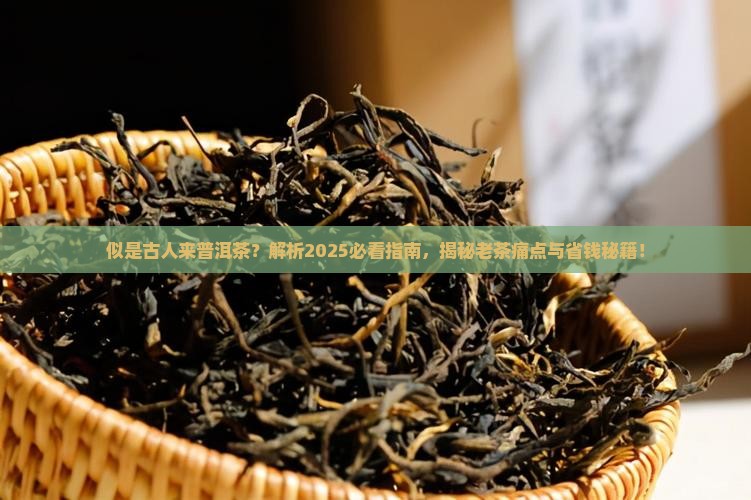 似是古人来普洱茶